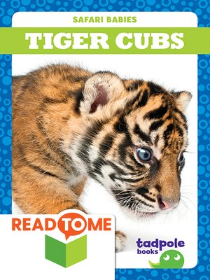 cover image of Tiger Cubs